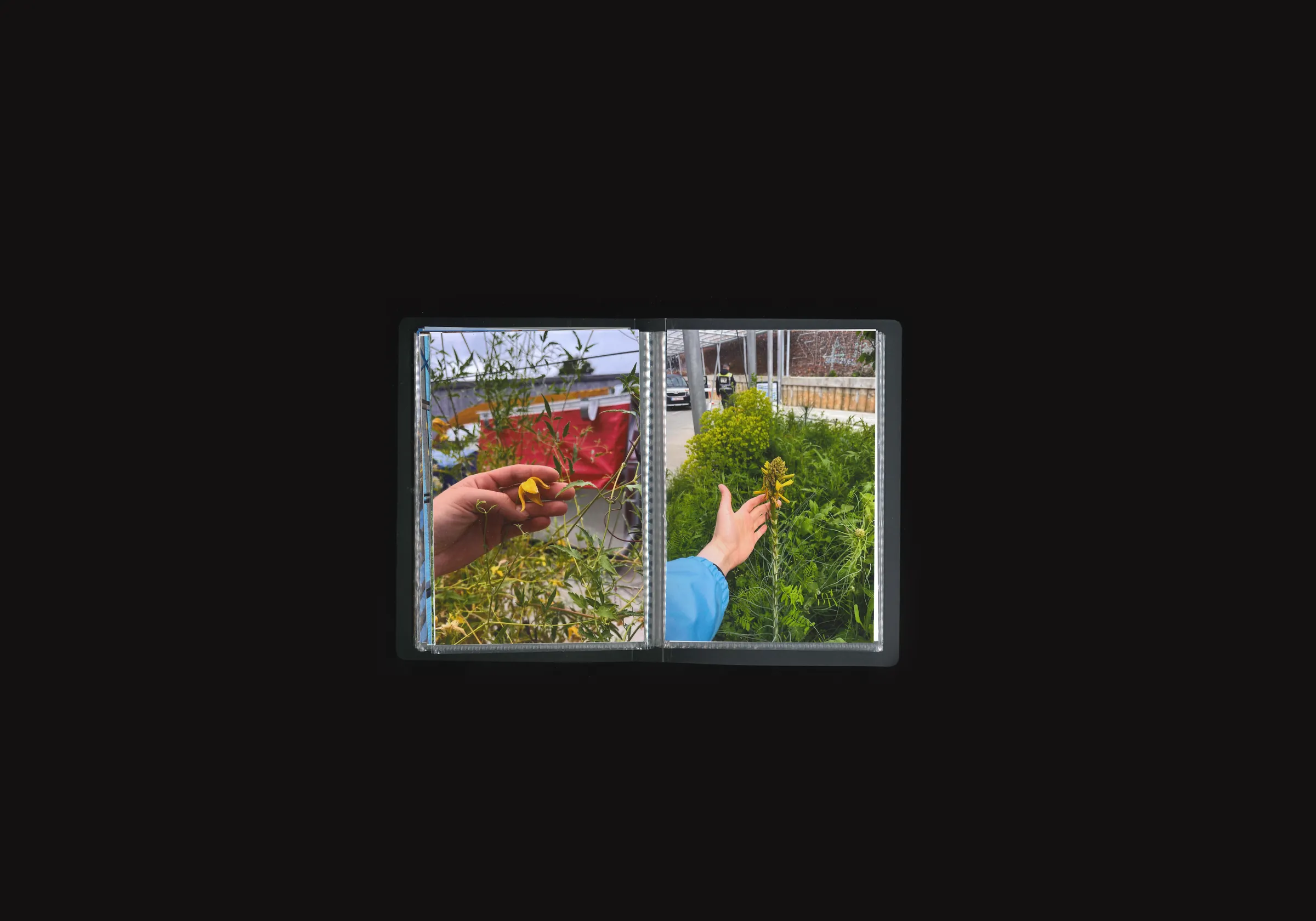 Recypark, image 5